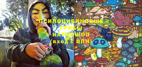 Альфа ПВП Алзамай