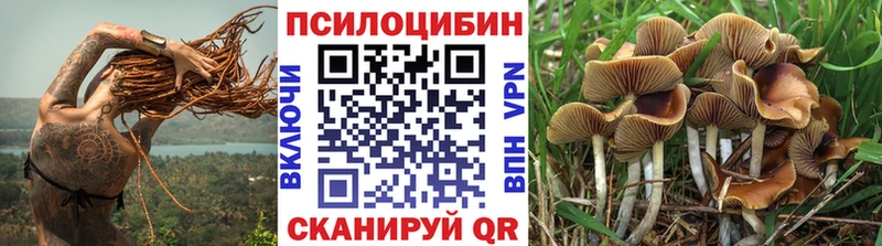 Галлюциногенные грибы Psilocybine cubensis  blacksprut зеркало  Лагань  купить наркоту 